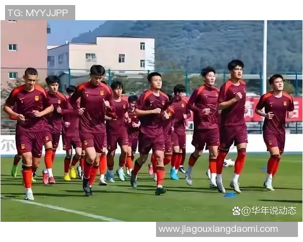 中国足球的璀璨星辰十大足球明星精彩瞬间视频回顾 中国足球的璀璨星辰十大足球明星精彩瞬间视频回顾